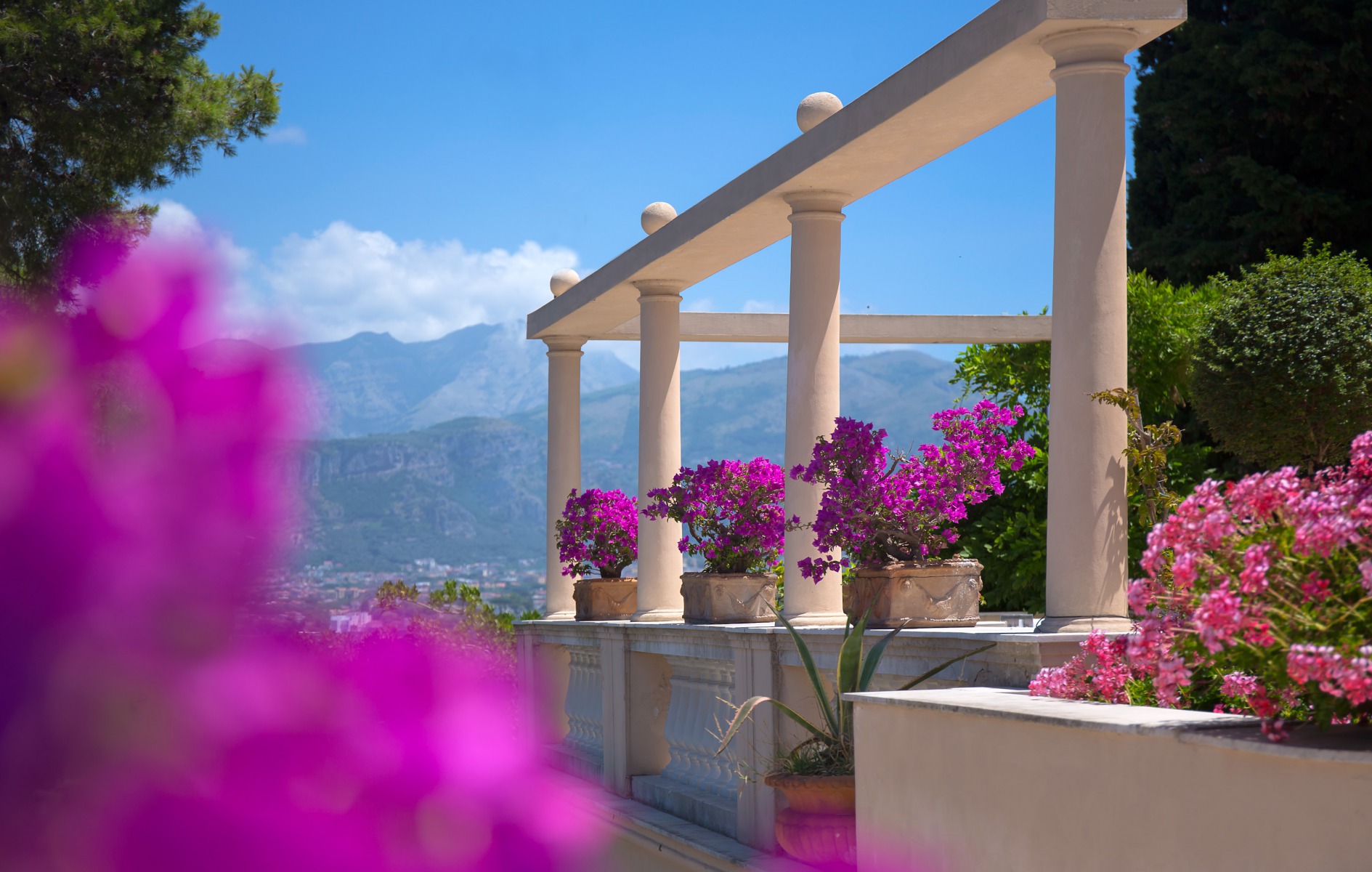 Elegant Hotel 4 Star With Sea View In Sorrento Coast Hotel - 